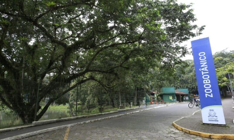 Joinville celebra Junho Verde com caminhada, vacinação e ações ambientais no Parque Zoobotânico