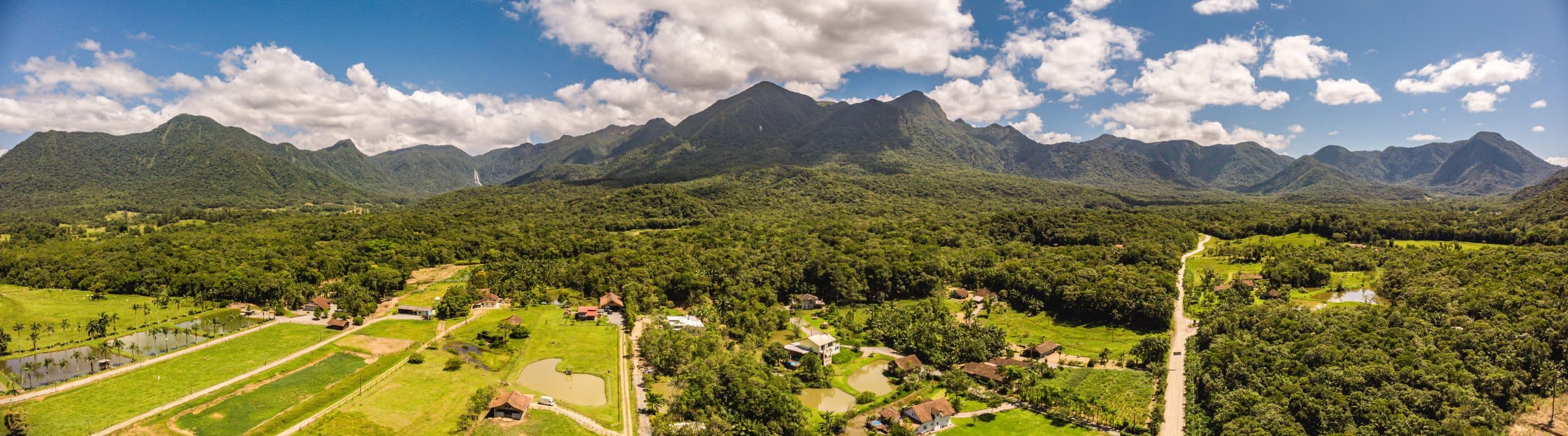 Vereadores de Joinville Cobram Sinal de Celular no Campo e Pressionam por Projeto Estadual