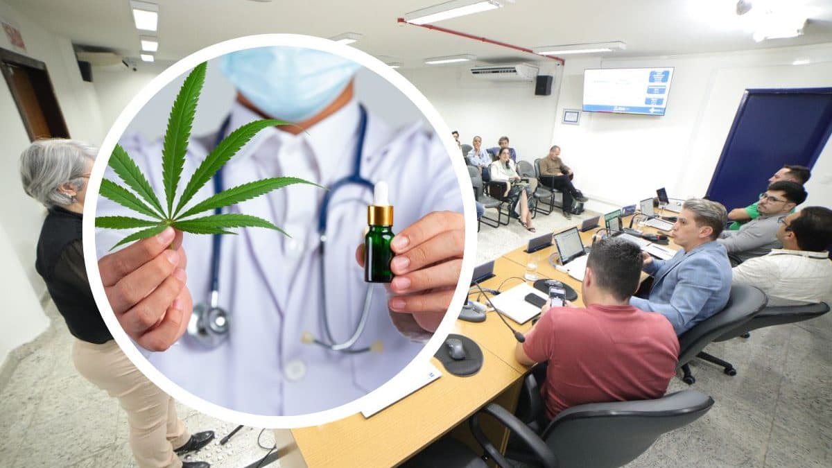 Cannabis medicinal entra no centro do debate e pressiona poder público em Joinville